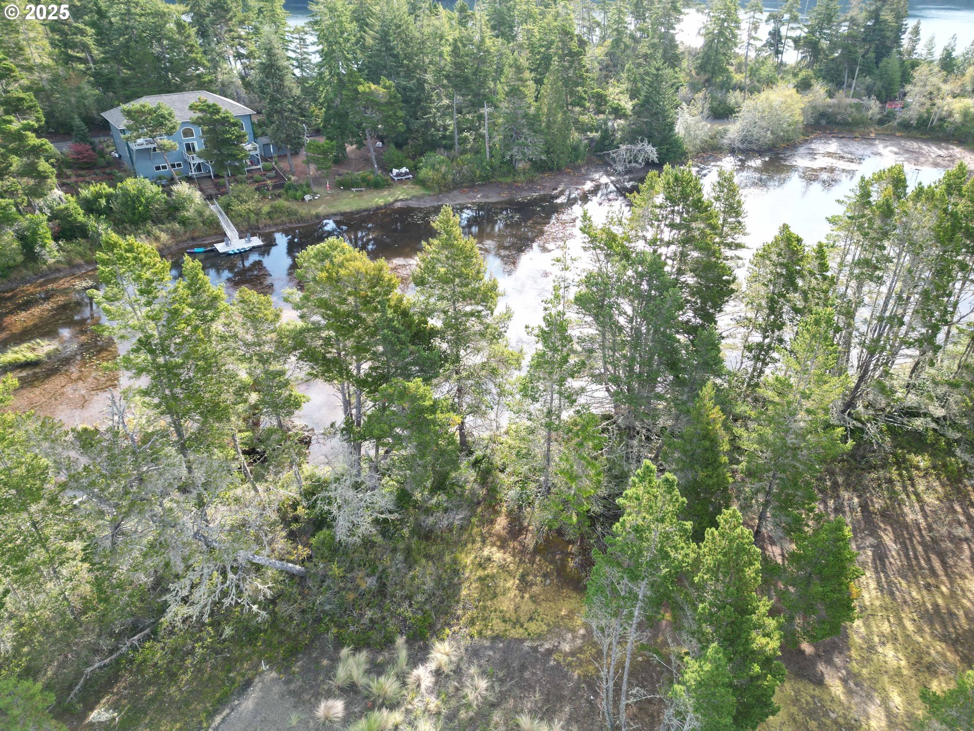 Nordahl Road Florence, OR 97439 - Photo 4 of 20 a view of a yard with plants