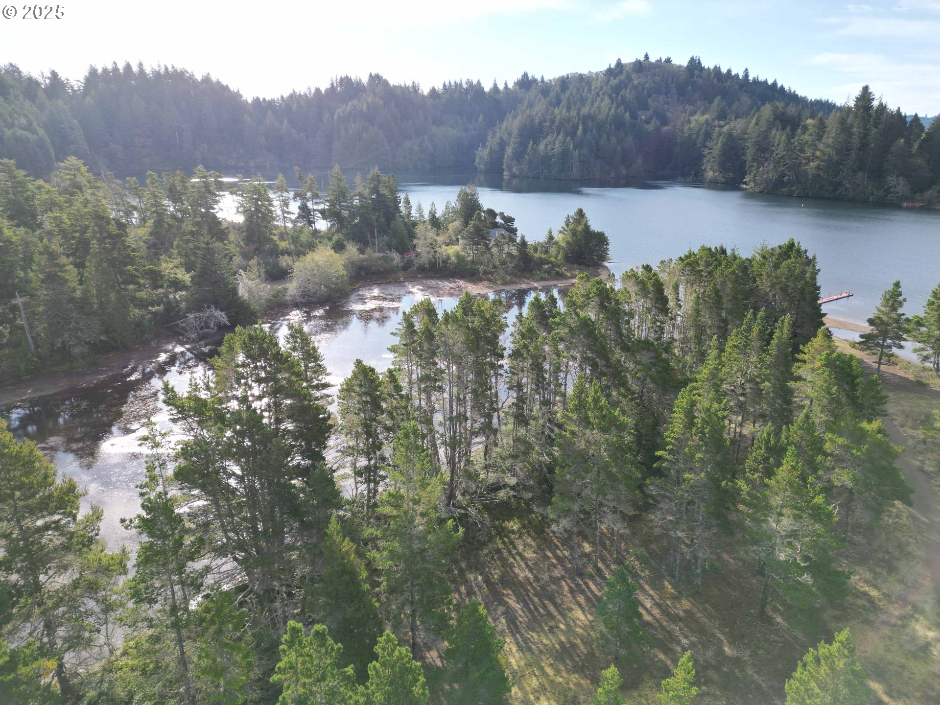 Nordahl Road Florence, OR 97439 - Photo 5 of 20 a view of a forest with a mountain in the background