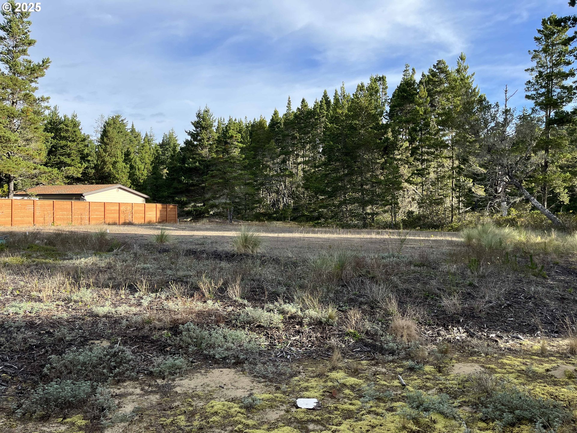 Nordahl Road Florence, OR 97439 - Photo 7 of 20 a view of a yard and mountain view