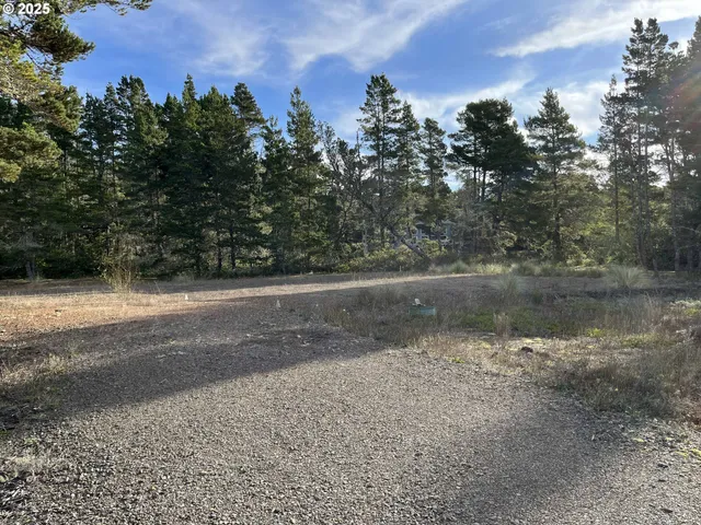 a view of a yard with trees