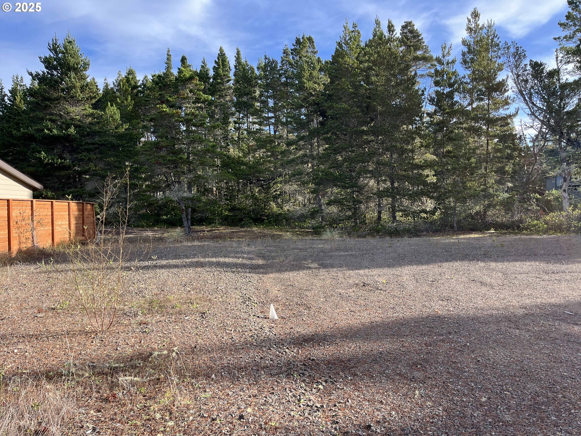 Nordahl Road Florence, OR 97439 - Photo 10 of 20 a view of a yard with trees