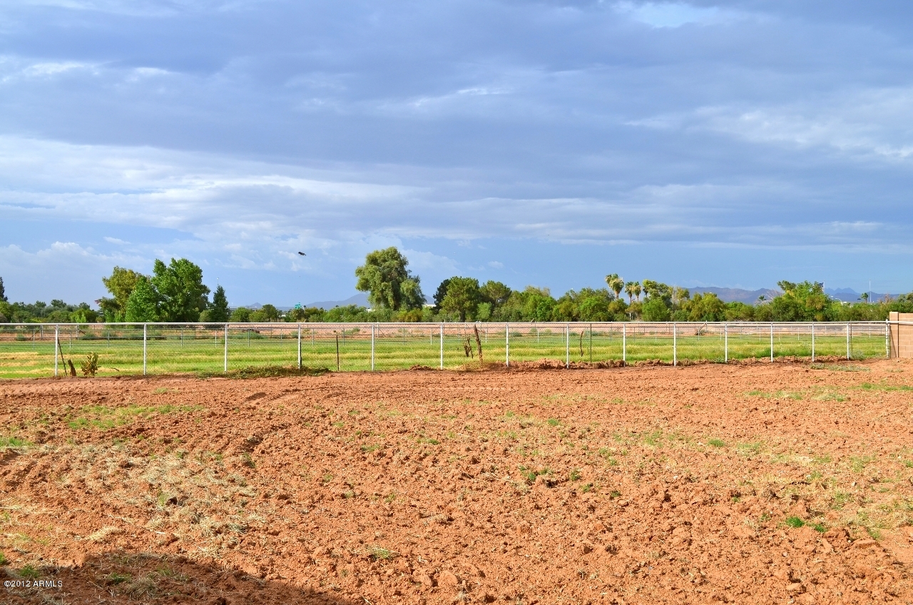 1859 South Recker Road Mesa, AZ 85206 - Photo 15 of 37 DSC_0055
