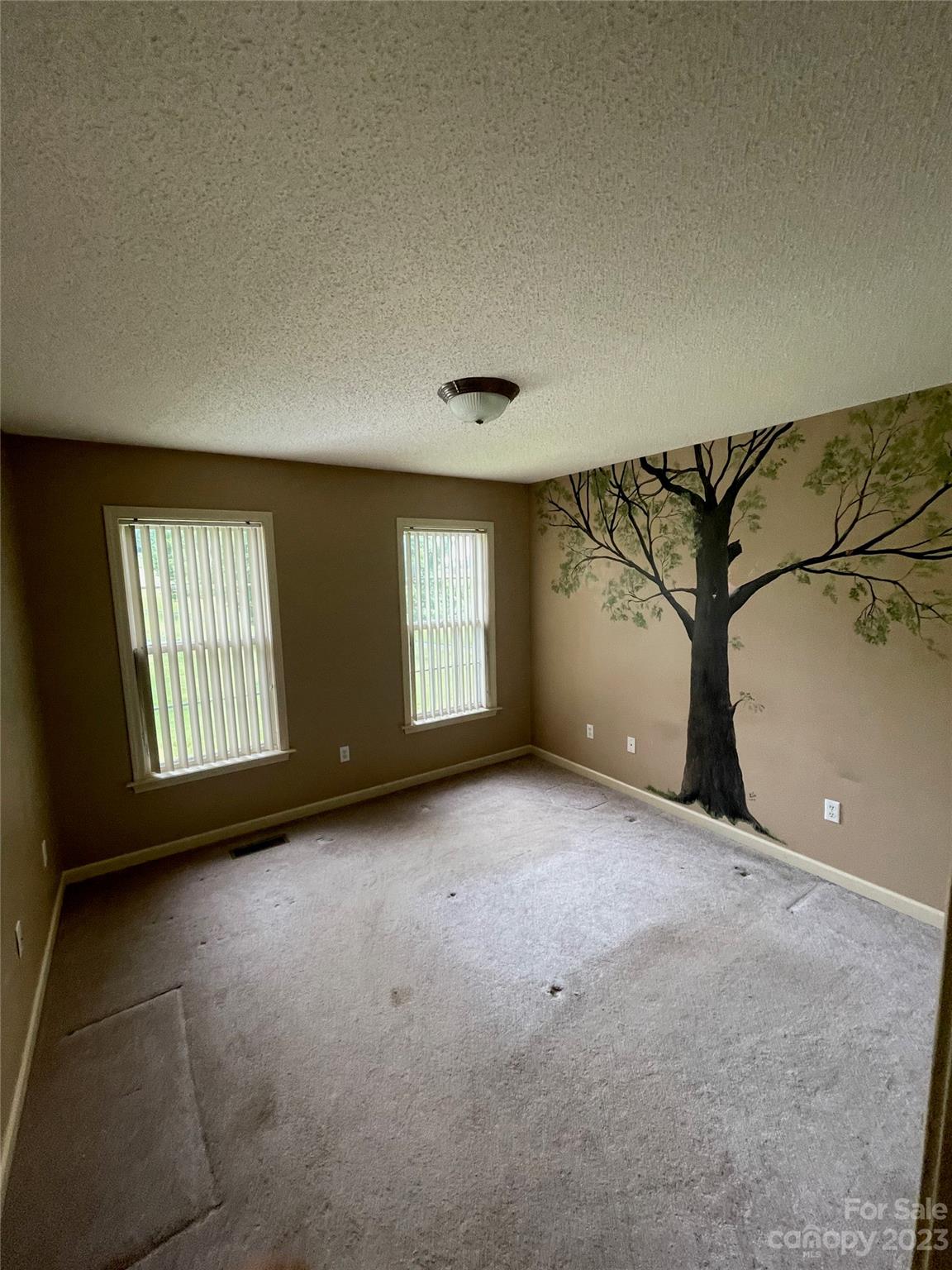 4 Grace Anna Lane Alexander, NC 28701 - Photo 15 of 38 a view of an empty room with windows
