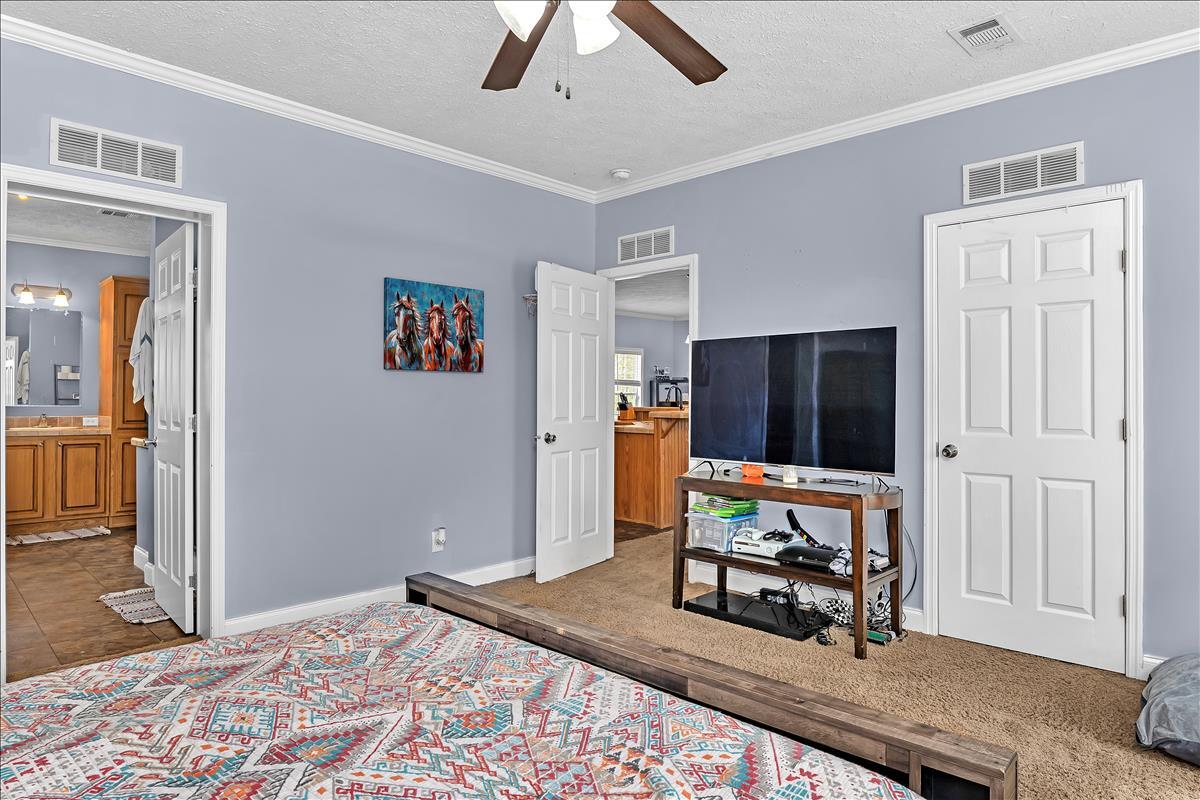 359 Nickletop Road Windsor, SC 29856 - Photo 18 of 33