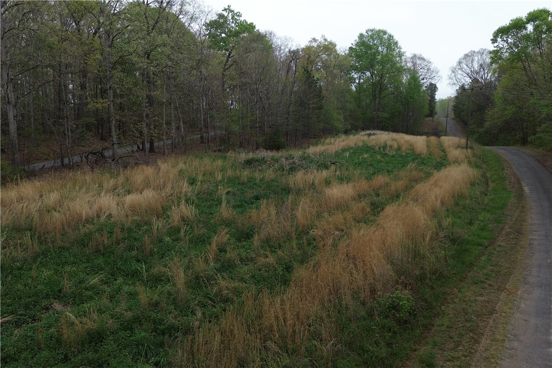 0 West Broad Street Iva, SC 29655 - Photo 2 of 6 A verdant field with a winding road alongside a dense forest offers a tranquil retreat.
