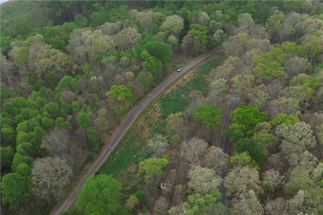 0 West Broad Street Iva, SC 29655 - Photo 3 of 6 Vast natural landscapes, a winding road, and dense, lush tree coverage define this expansive lot.