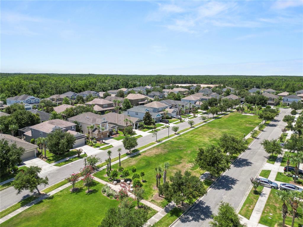 8775 Sentiero Drive Land O Lakes, FL 34637 - Photo 74 of 76