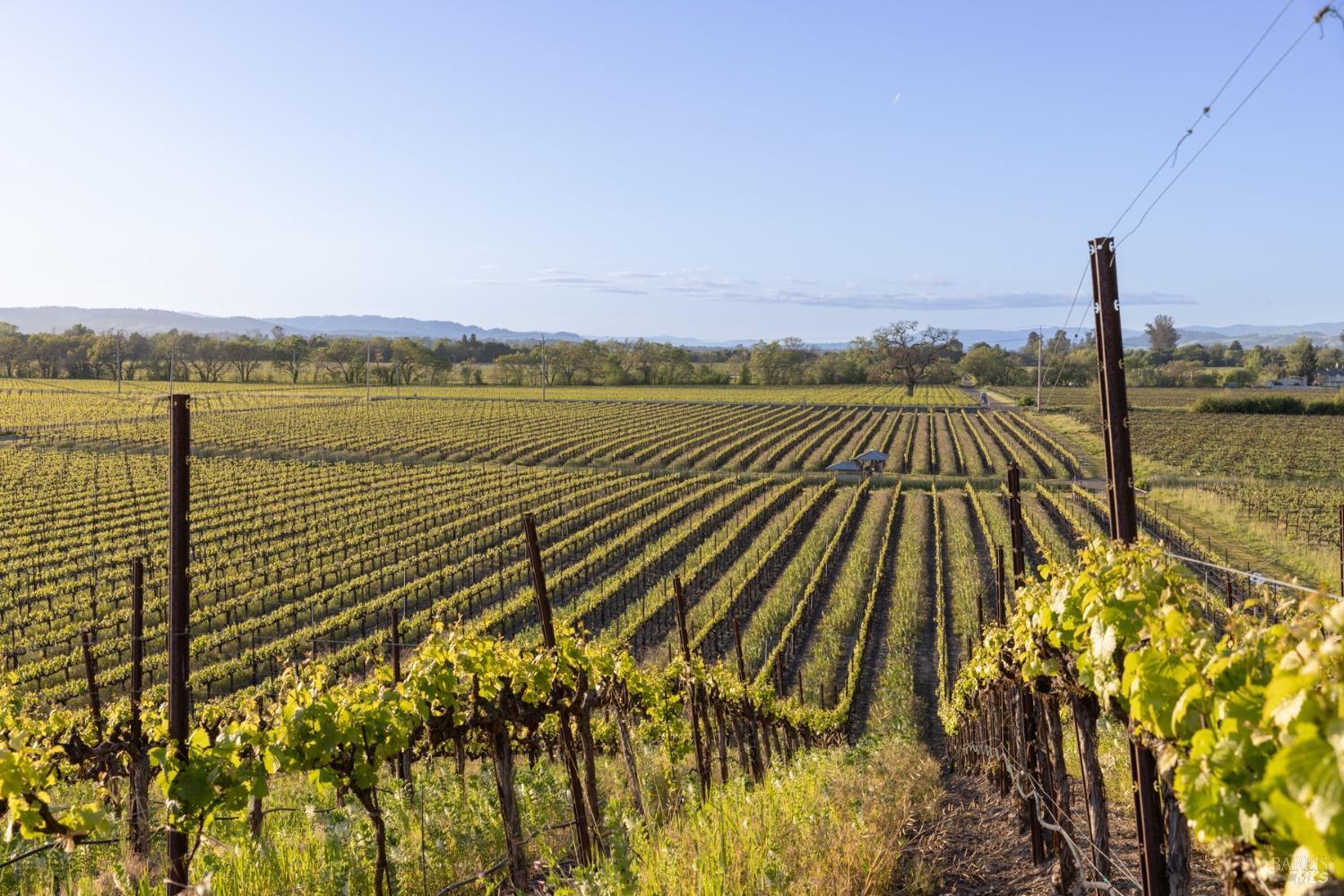 2875 Woolsey Road Windsor, CA 95492 - Photo 43 of 59