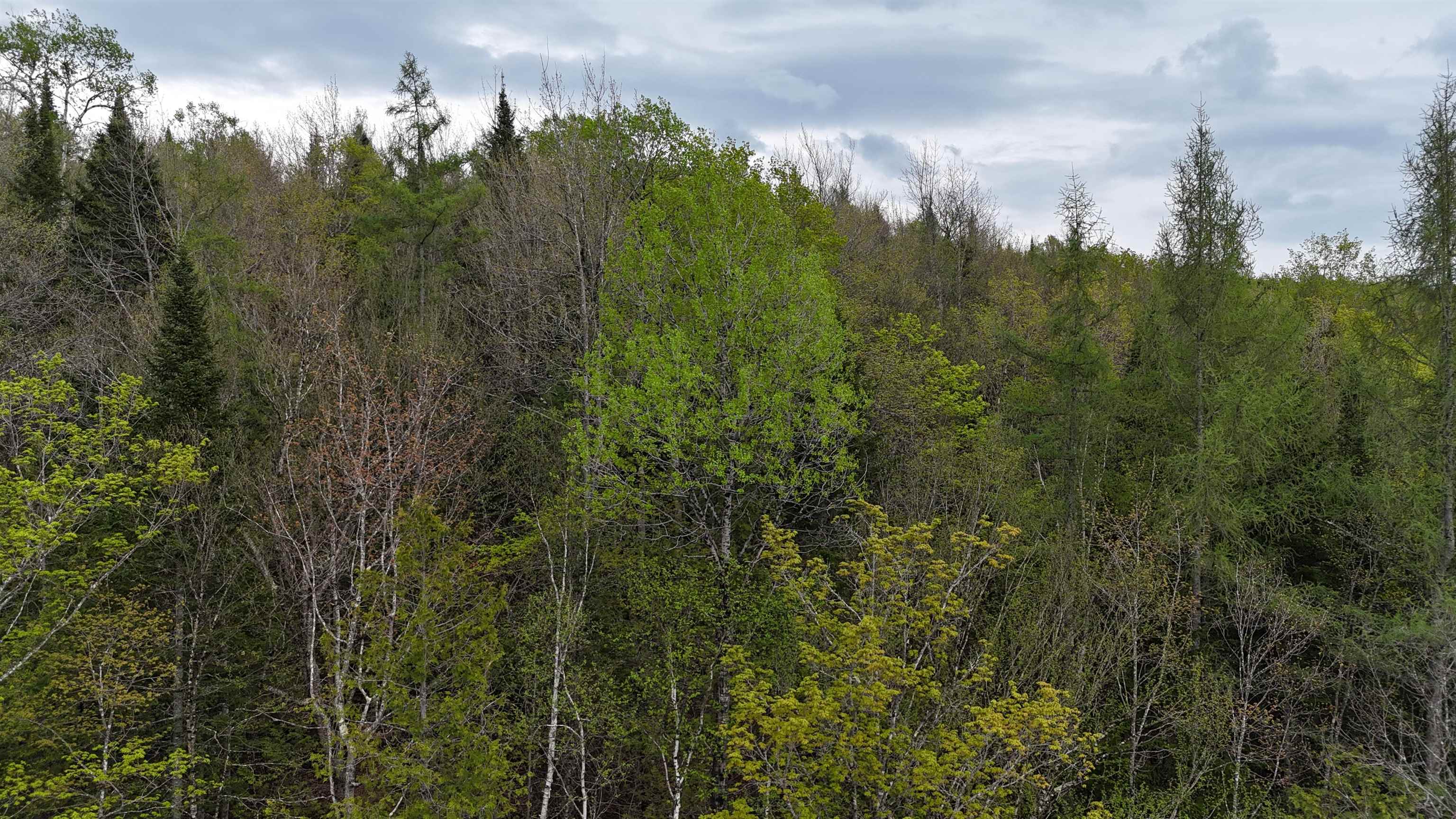 0 Lost Nation Road East Haven, VT 05837 - Photo 20 of 22