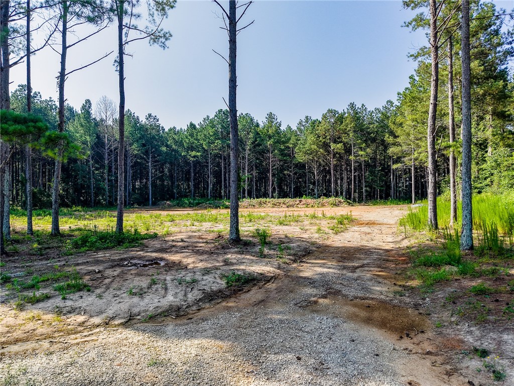 Lot C-1 Rogers Road Pendleton, SC 29670 - Photo 2 of 9 Gallery Image 2