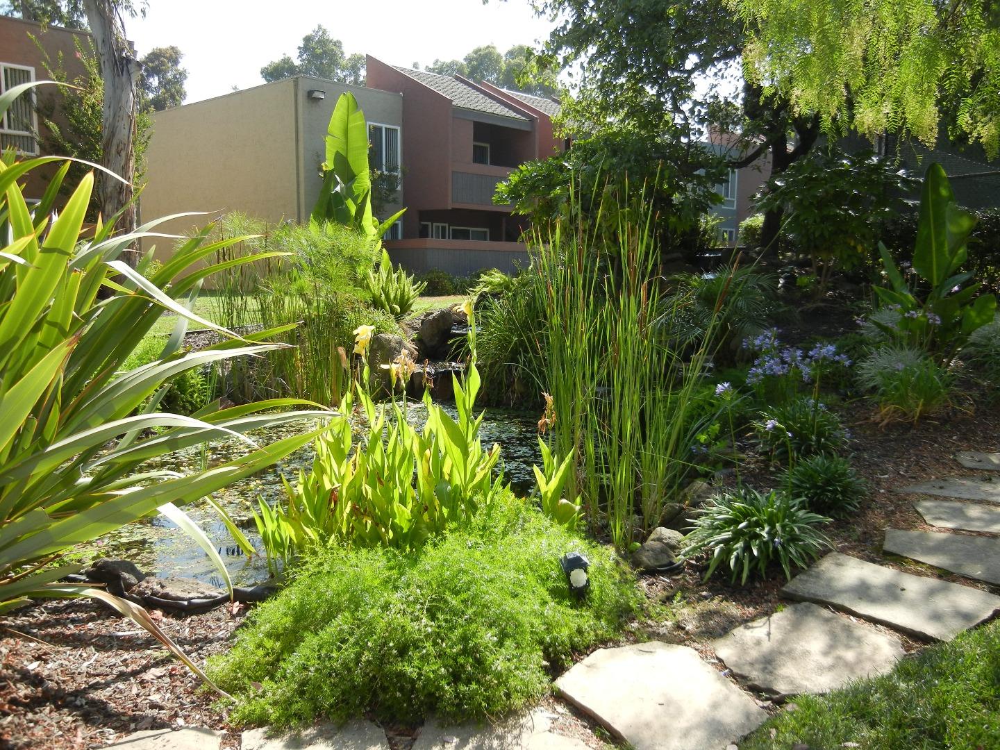 404 Dempsey Road, Unit 205 Milpitas, CA 95035 - Photo 4 of 16 Gallery Image 4