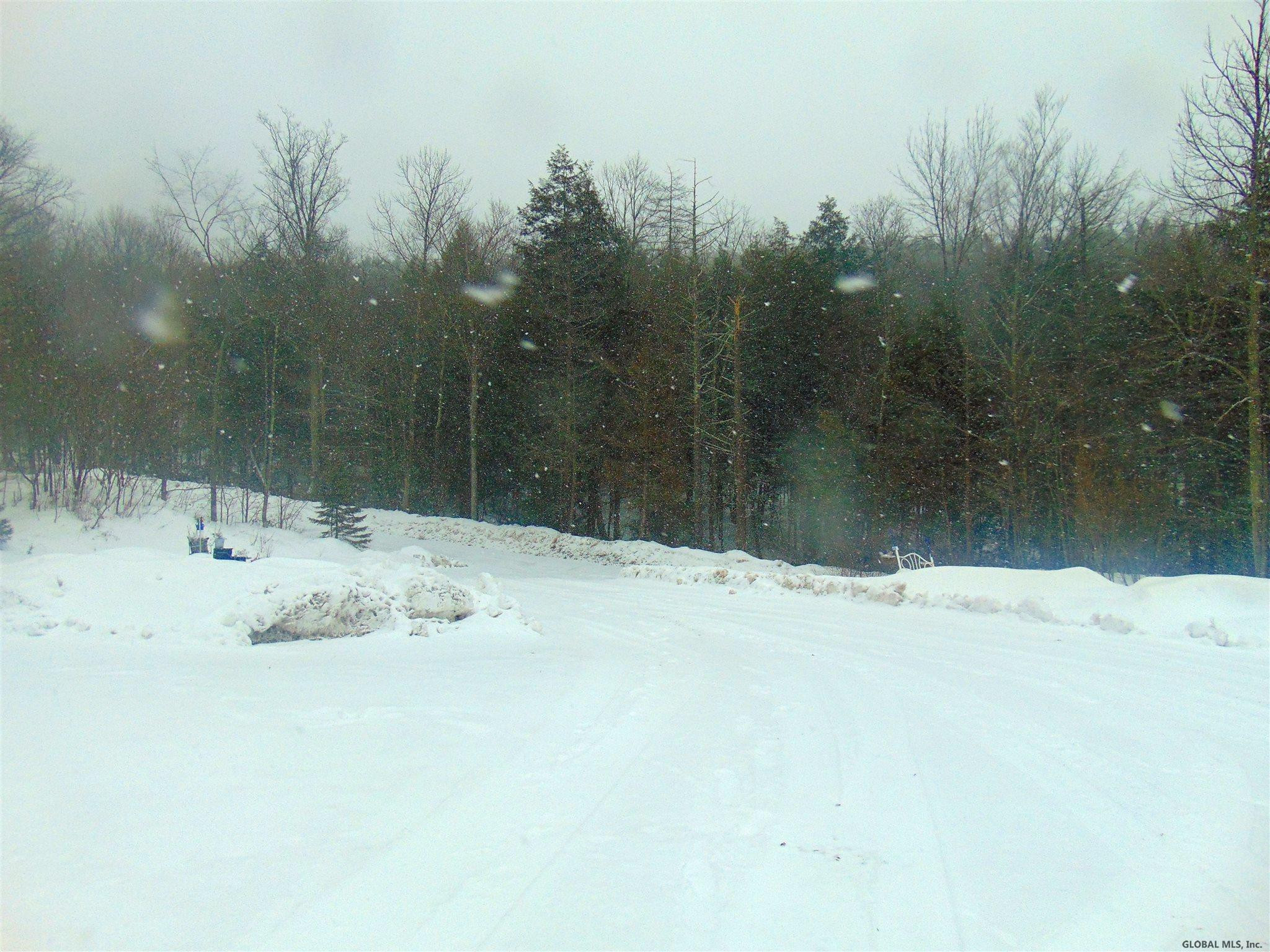 131 Coons Den Road Broome, NY 12122 - Photo 18 of 23 Photo 18