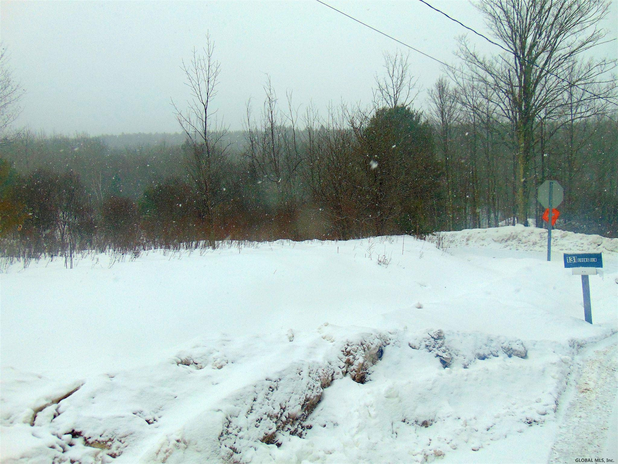 131 Coons Den Road Broome, NY 12122 - Photo 19 of 23 Photo 19