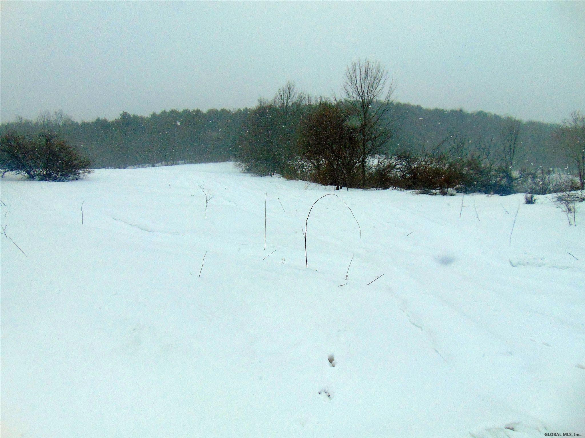 131 Coons Den Road Broome, NY 12122 - Photo 20 of 23 Photo 20
