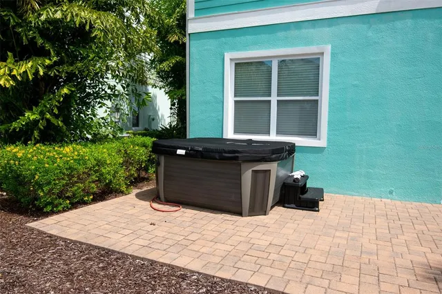 a outdoor space with lots of palm trees