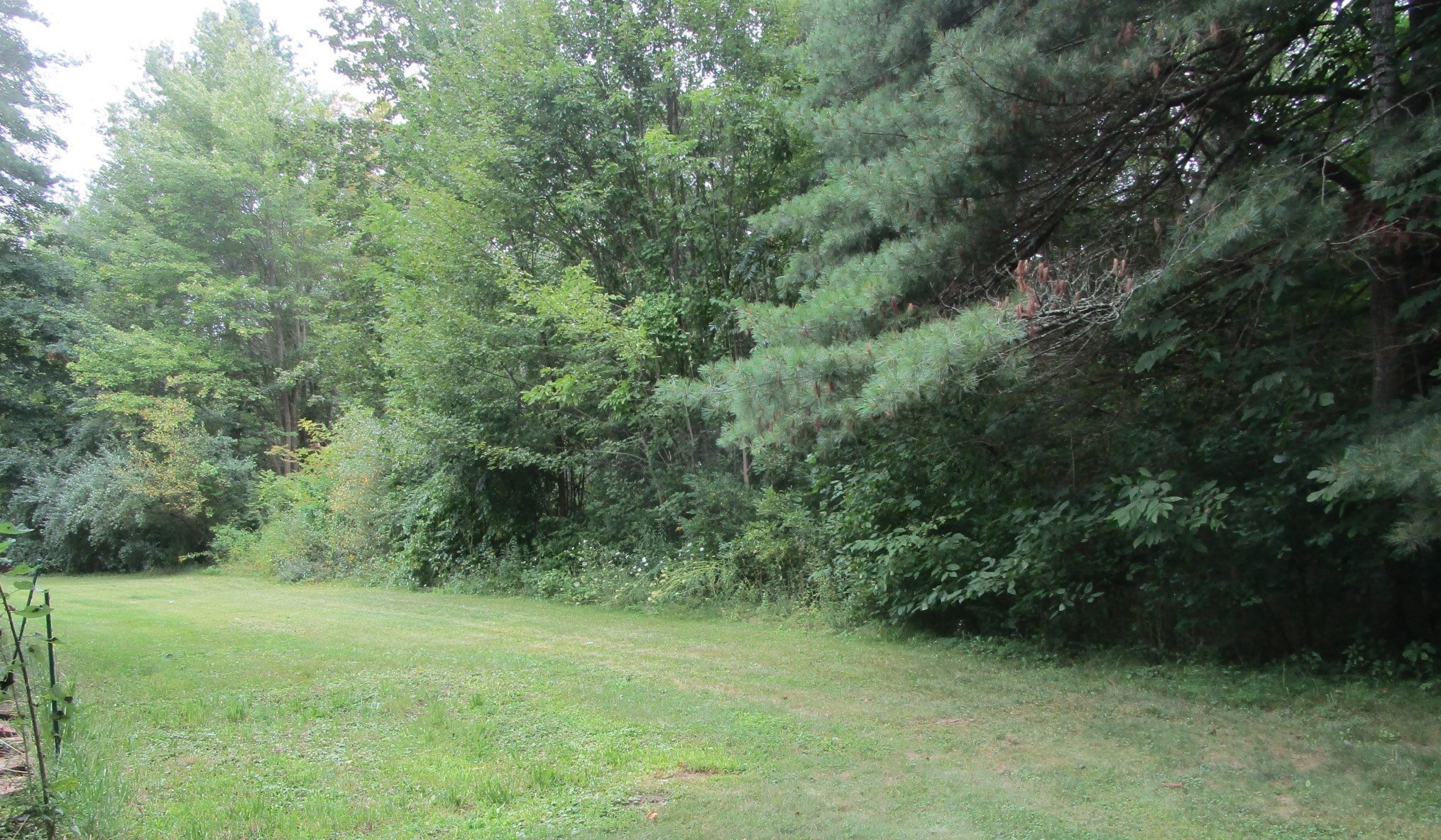 49 Wire Village Road Spencer, MA 01562 - Photo 4 of 14 Gallery Image 4