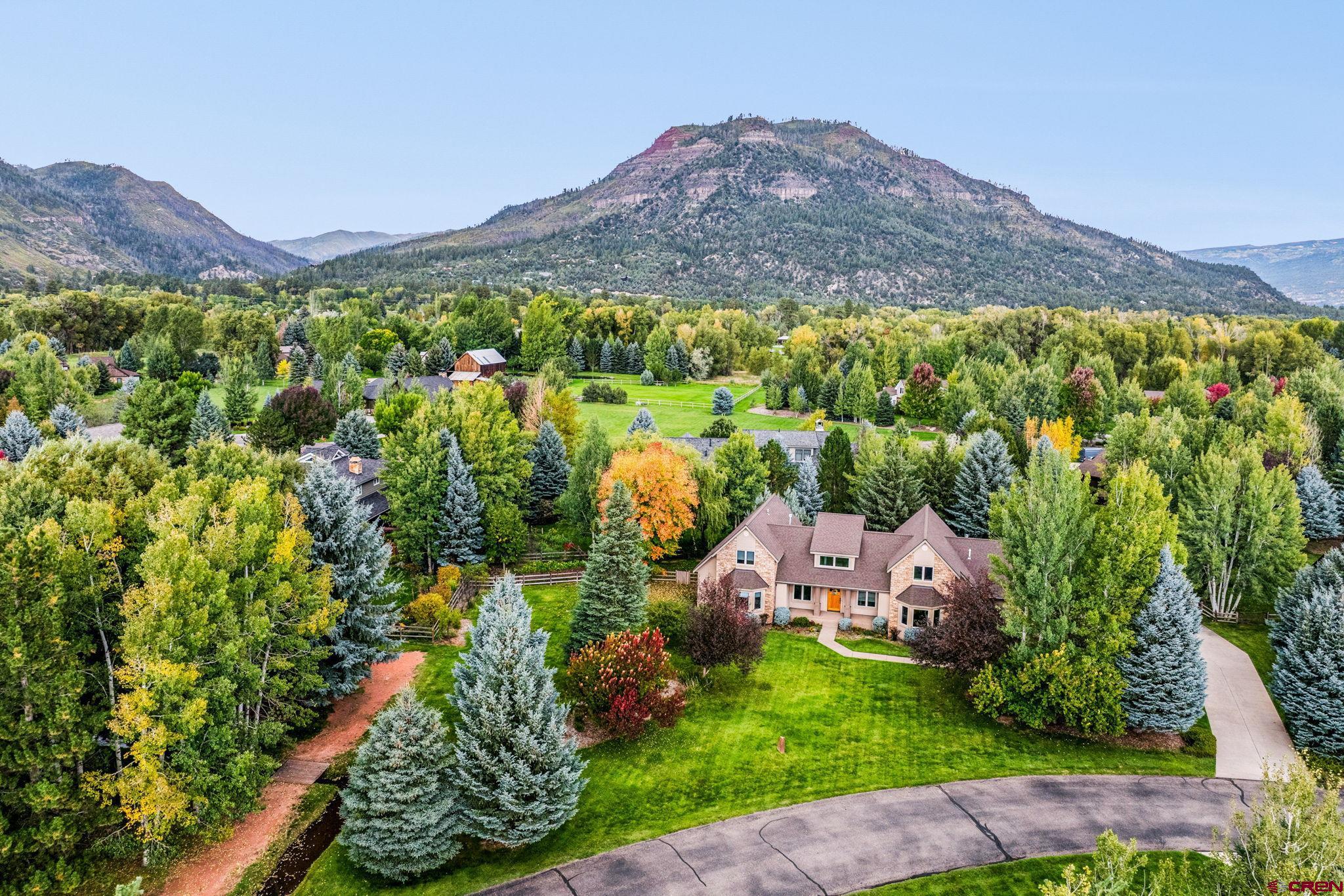 a view of a lush green hillside and a houses