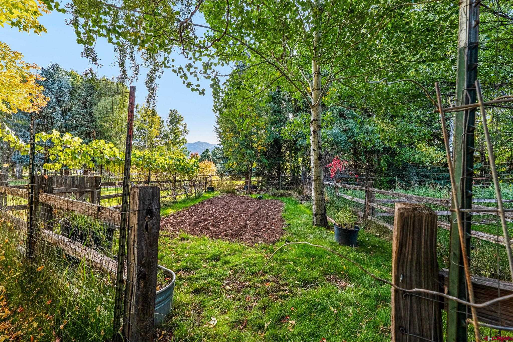 345 Red Rock Road Durango, CO 81301 - Photo 41 of 44 a view of yard with green space