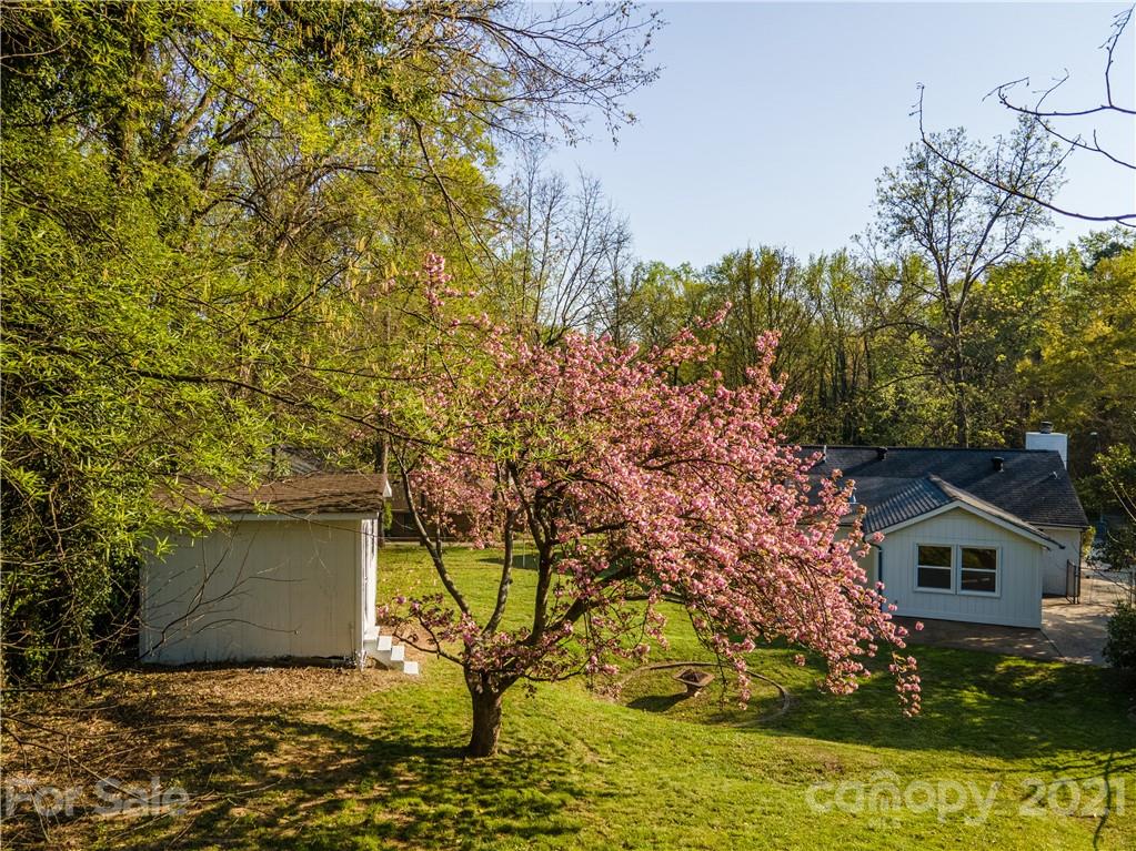 721 Rome Court Charlotte, NC 28209 - Photo 21 of 21 a view of backyard of house