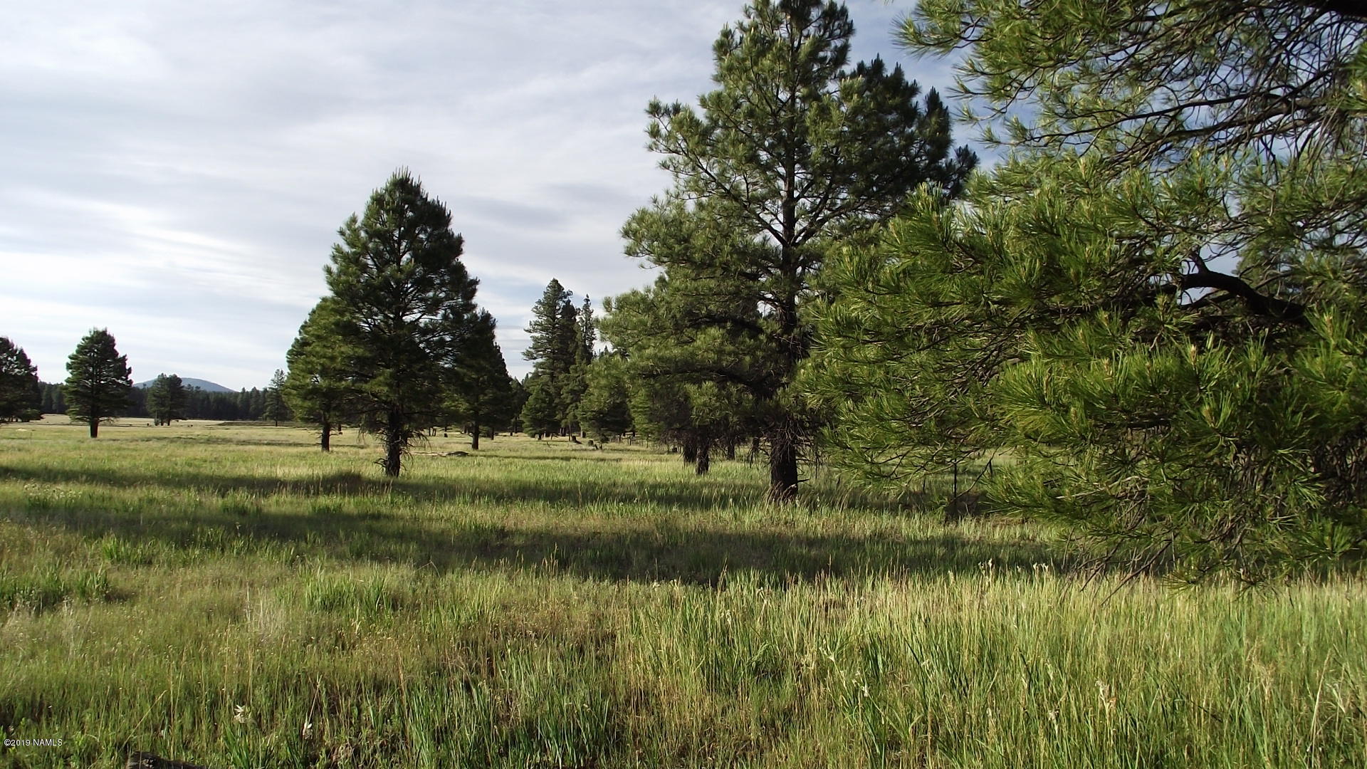 6287 East Prairie Edge Road Williams, AZ 86046 - Photo 1 of 19 DSCF3538