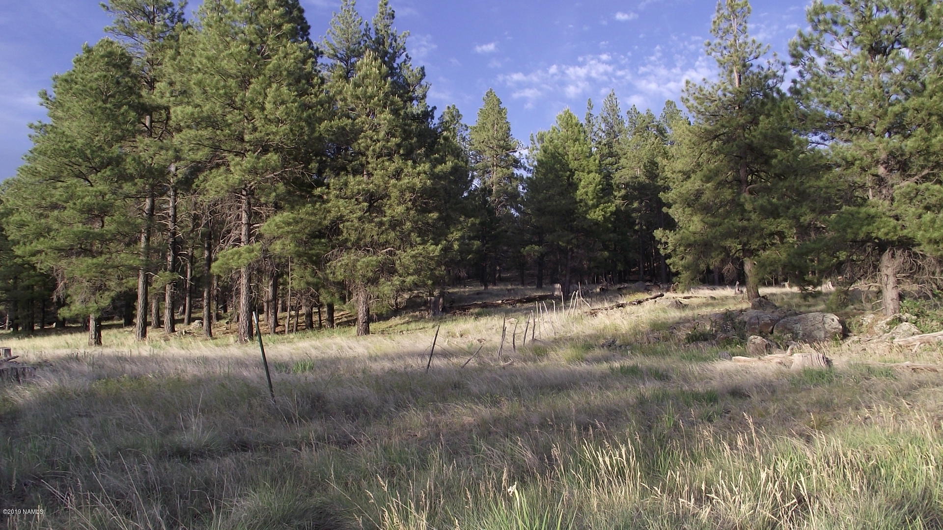 6287 East Prairie Edge Road Williams, AZ 86046 - Photo 13 of 19 DSCF3550