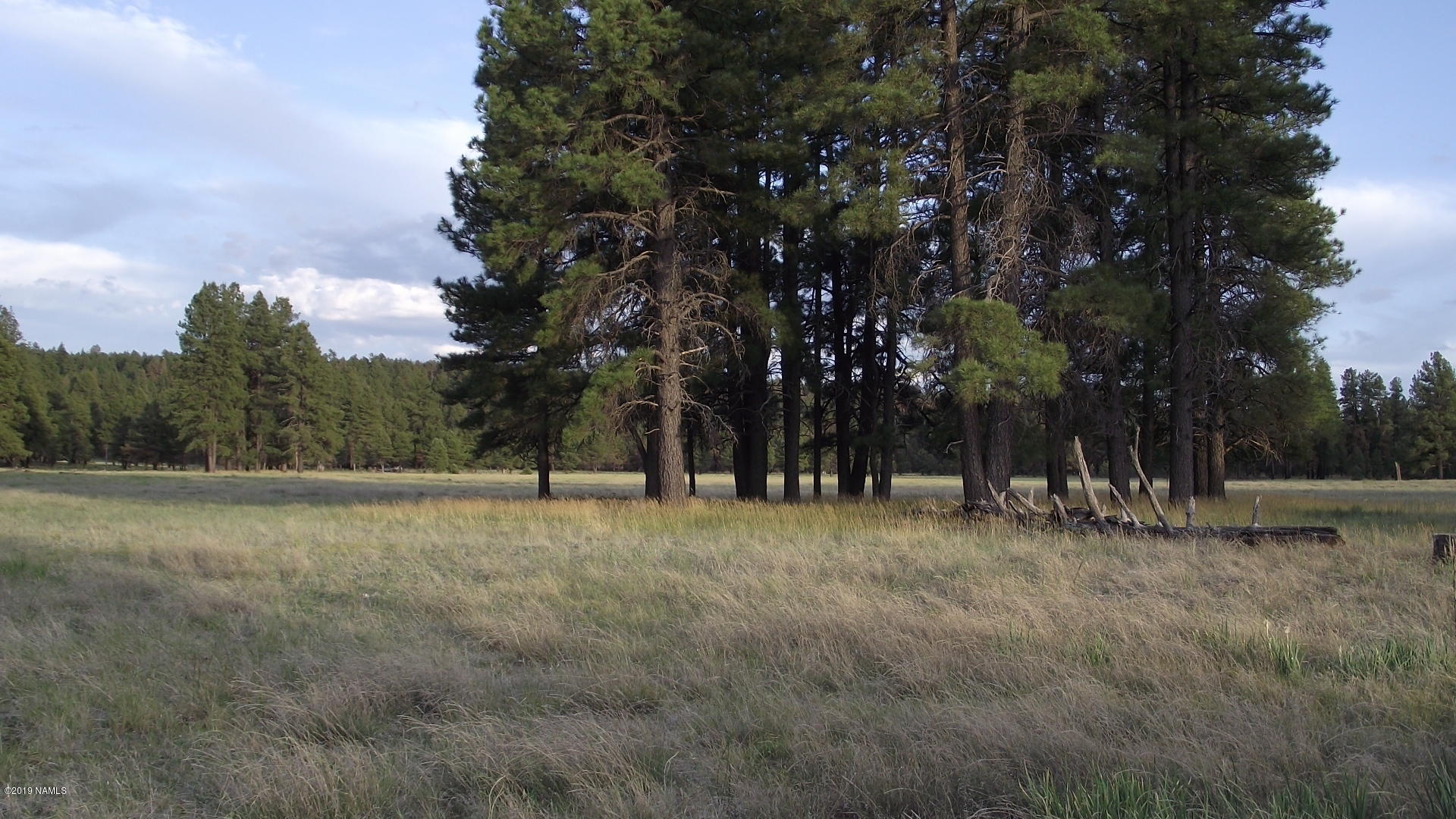 6287 East Prairie Edge Road Williams, AZ 86046 - Photo 14 of 19 DSCF3551