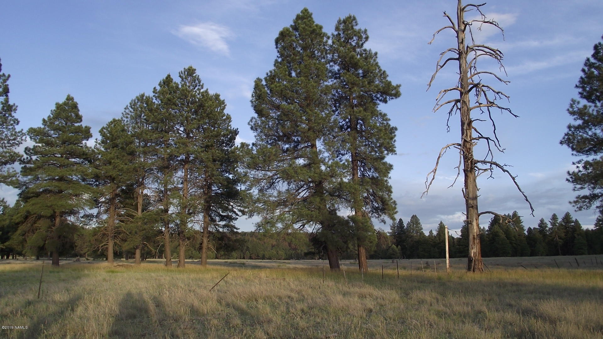 6287 East Prairie Edge Road Williams, AZ 86046 - Photo 18 of 19 DSCF3555