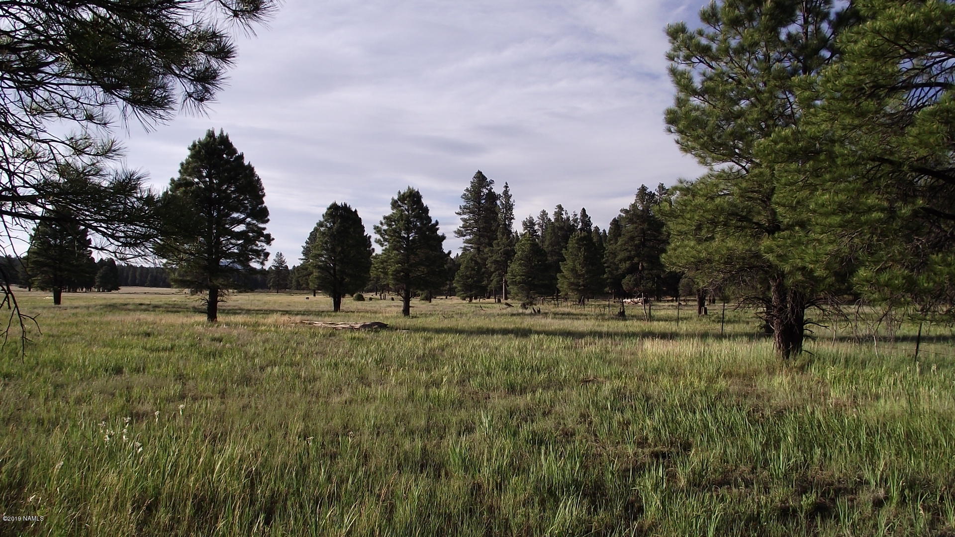 6287 East Prairie Edge Road Williams, AZ 86046 - Photo 2 of 19 DSCF3539