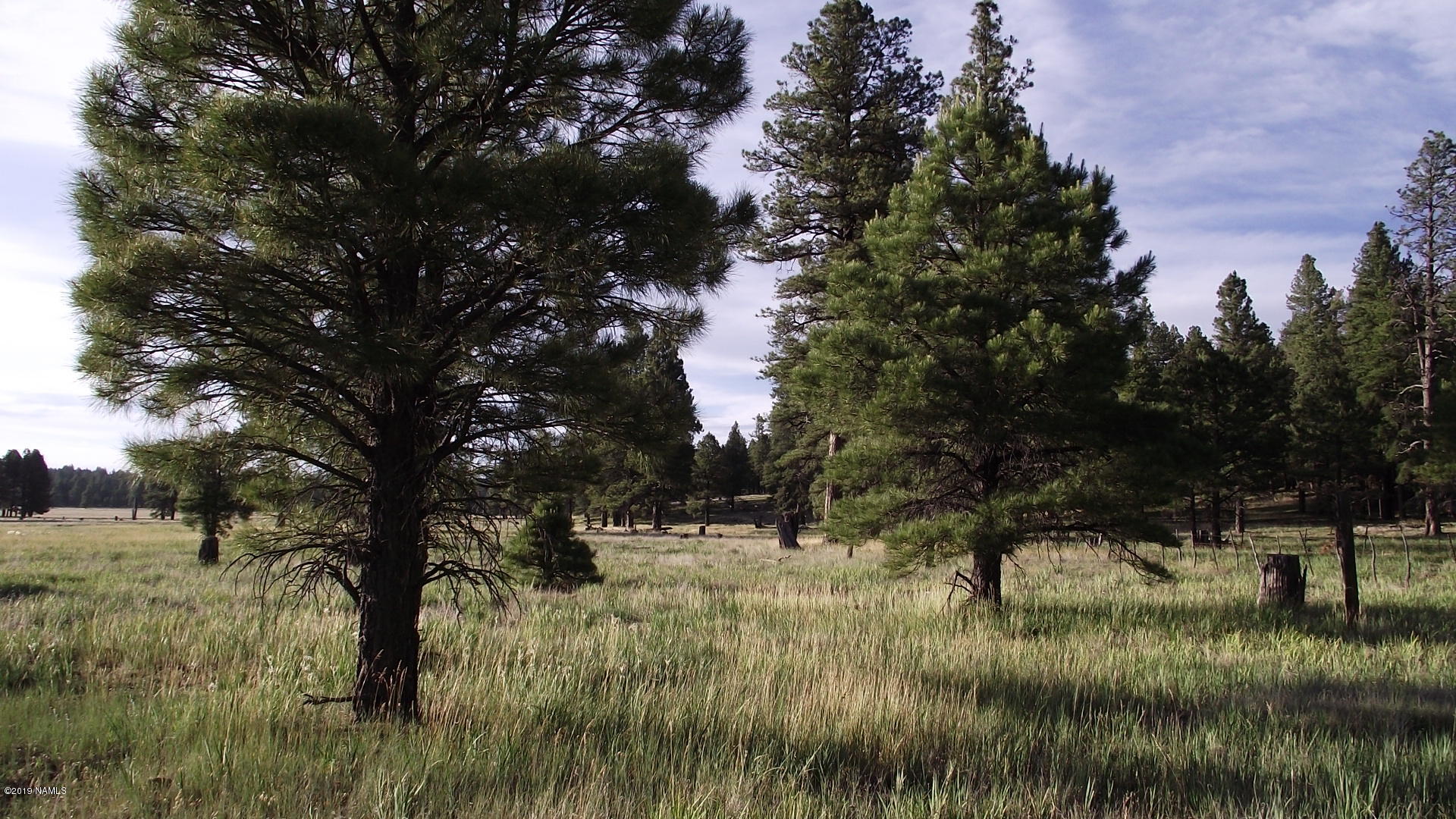 6287 East Prairie Edge Road Williams, AZ 86046 - Photo 3 of 19 DSCF3541