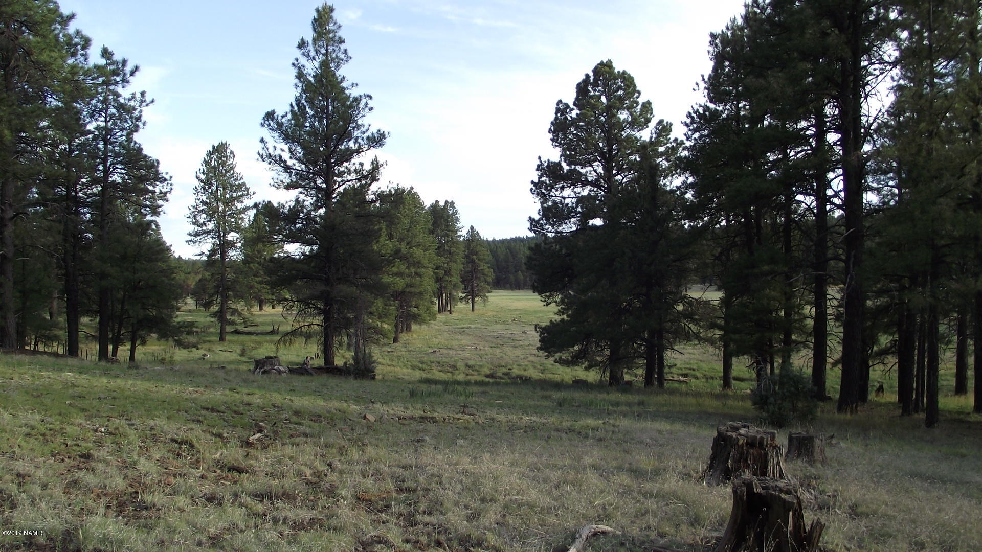 6287 East Prairie Edge Road Williams, AZ 86046 - Photo 4 of 19 DSCF3543