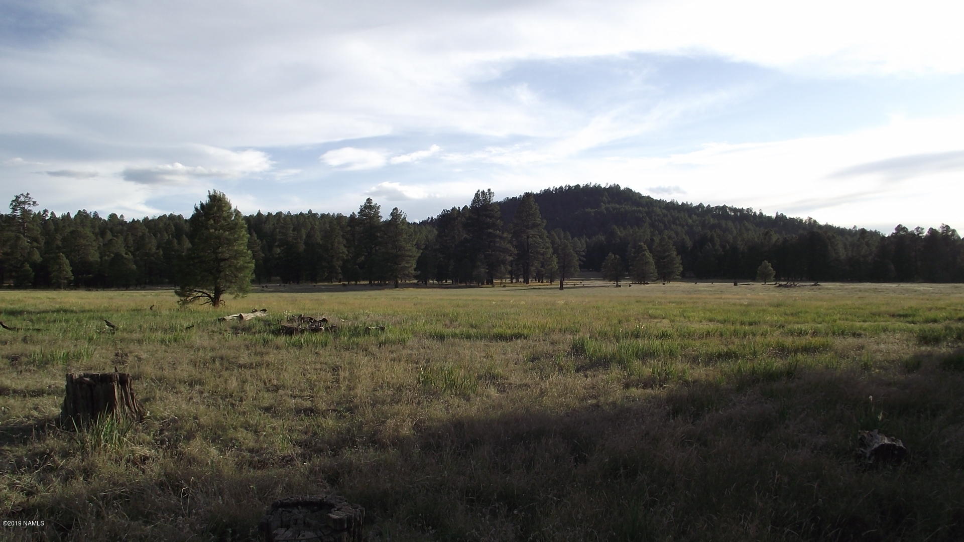 6287 East Prairie Edge Road Williams, AZ 86046 - Photo 5 of 19 DSCF3542