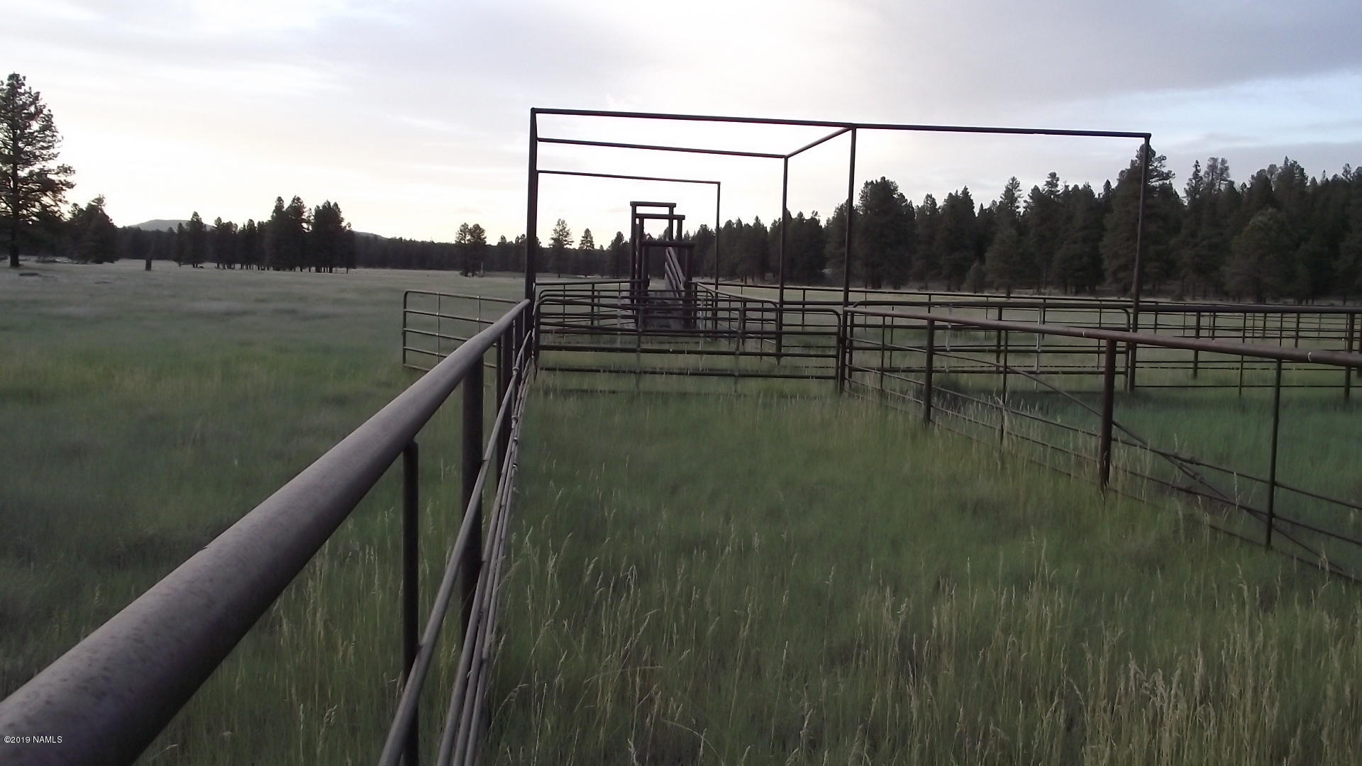 6287 East Prairie Edge Road Williams, AZ 86046 - Photo 6 of 19 DSCF3558