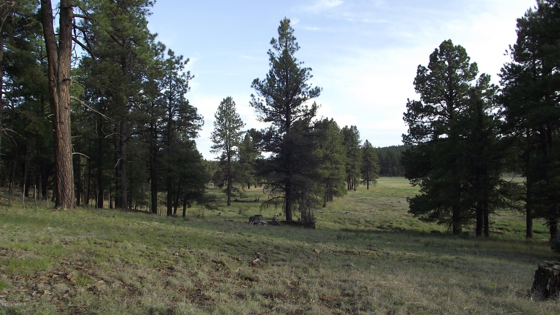 6287 East Prairie Edge Road Williams, AZ 86046 - Photo 7 of 19 DSCF3544