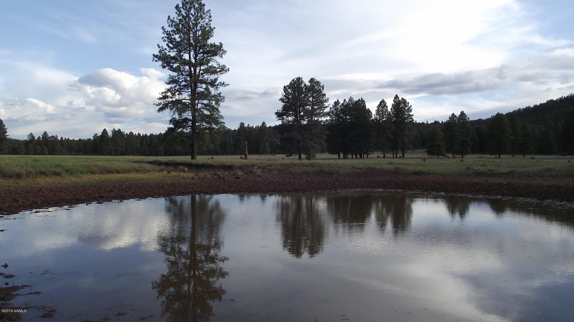 6287 East Prairie Edge Road Williams, AZ 86046 - Photo 8 of 19 DSCF3546