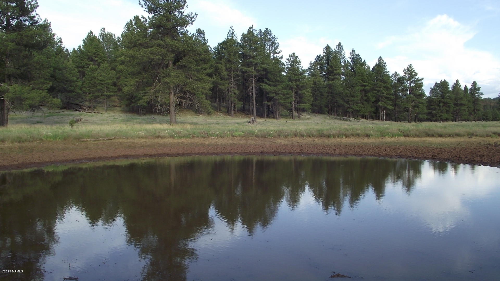 6287 East Prairie Edge Road Williams, AZ 86046 - Photo 9 of 19 DSCF3547