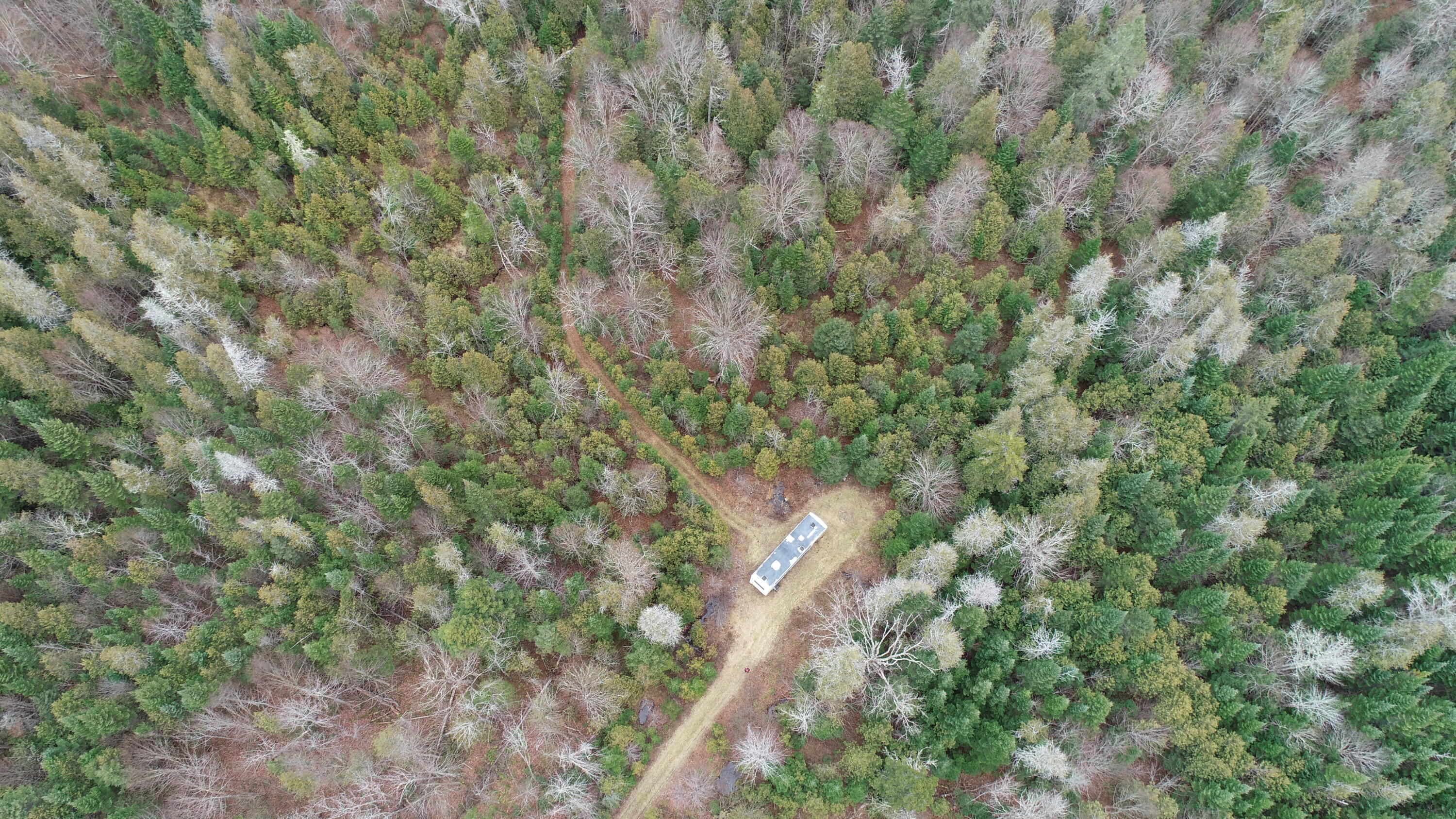 Lot 2 Off Bangor Road Houlton, ME 04730 - Photo 30 of 44 DJI_0367
