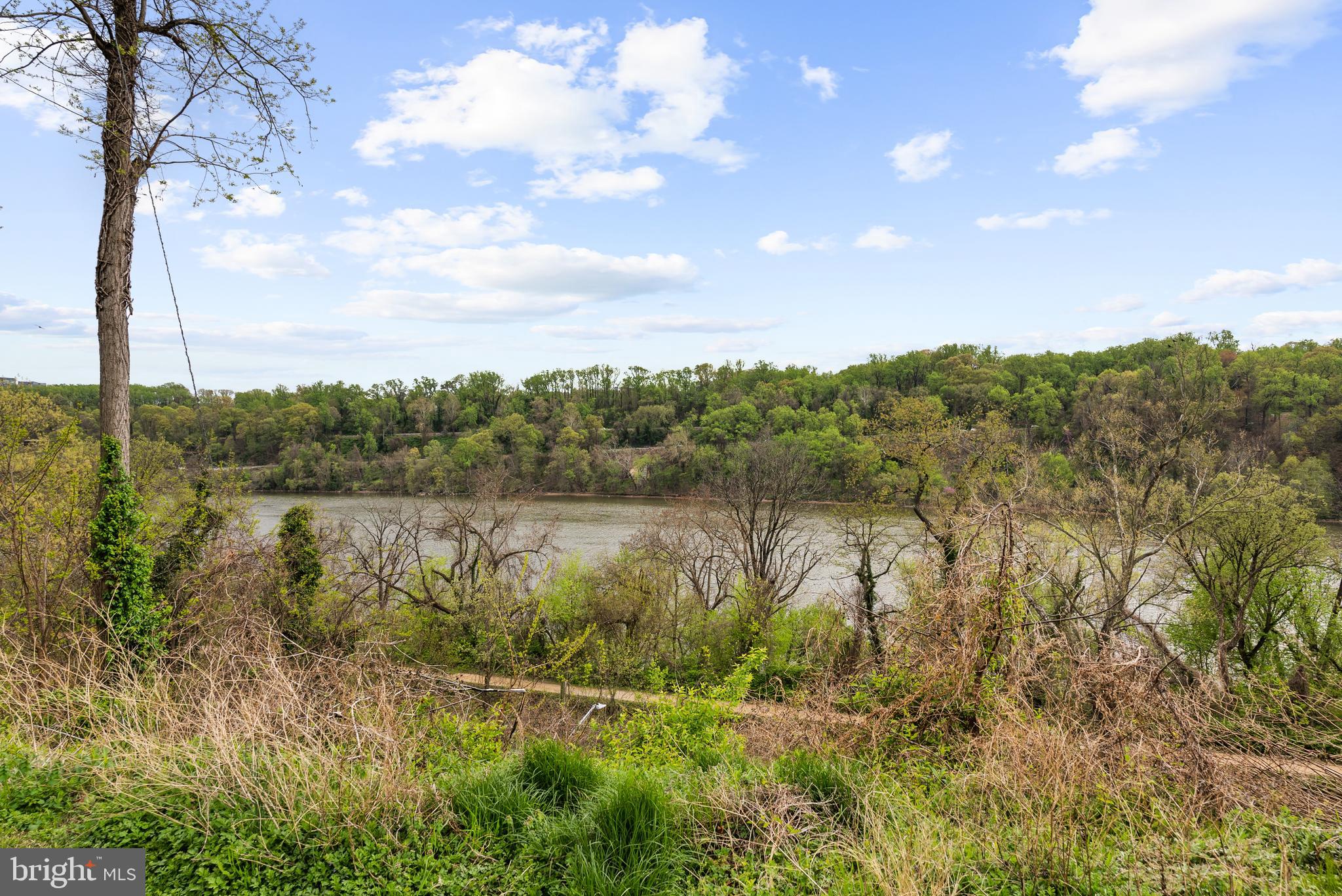 4521 Clark Place Northwest Washington, DC 20007 - Photo 26 of 27 a view of lake with green space