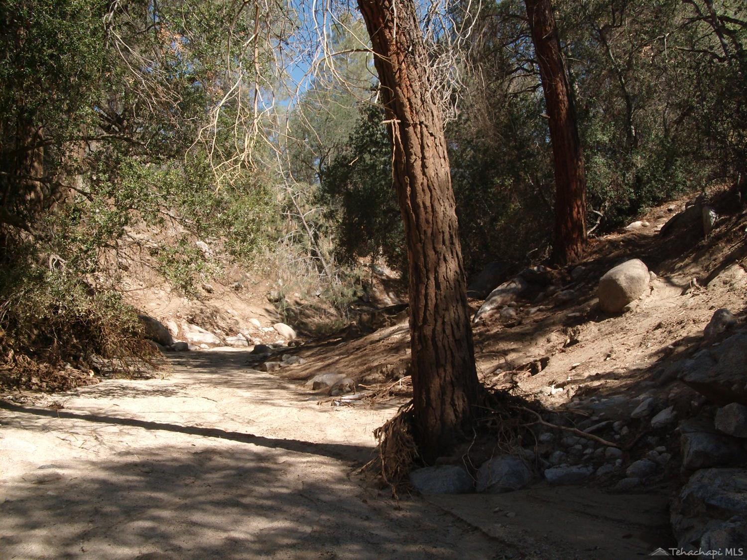 13133 Franceschi Road Caliente, CA 93518 - Photo 28 of 29 Gallery Image 28