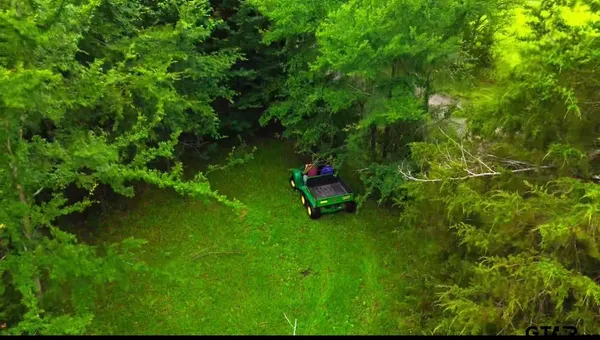 a garden with trees in the background