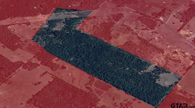 $1,500,000 | 4912 CR 4912, Ben Wheeler, TX 75754