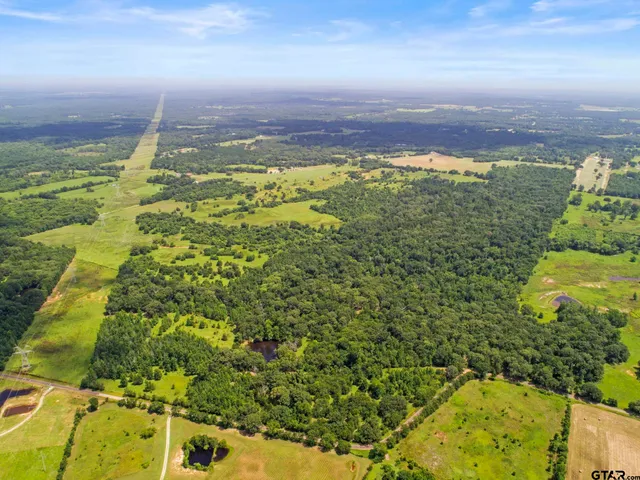 a view of a field with an ocean