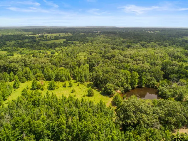 a view of a city with mountains in the background