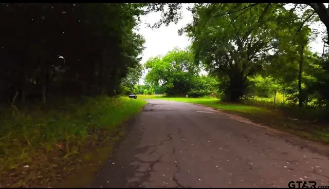 $1,500,000 | 4912 CR 4912, Ben Wheeler, TX 75754