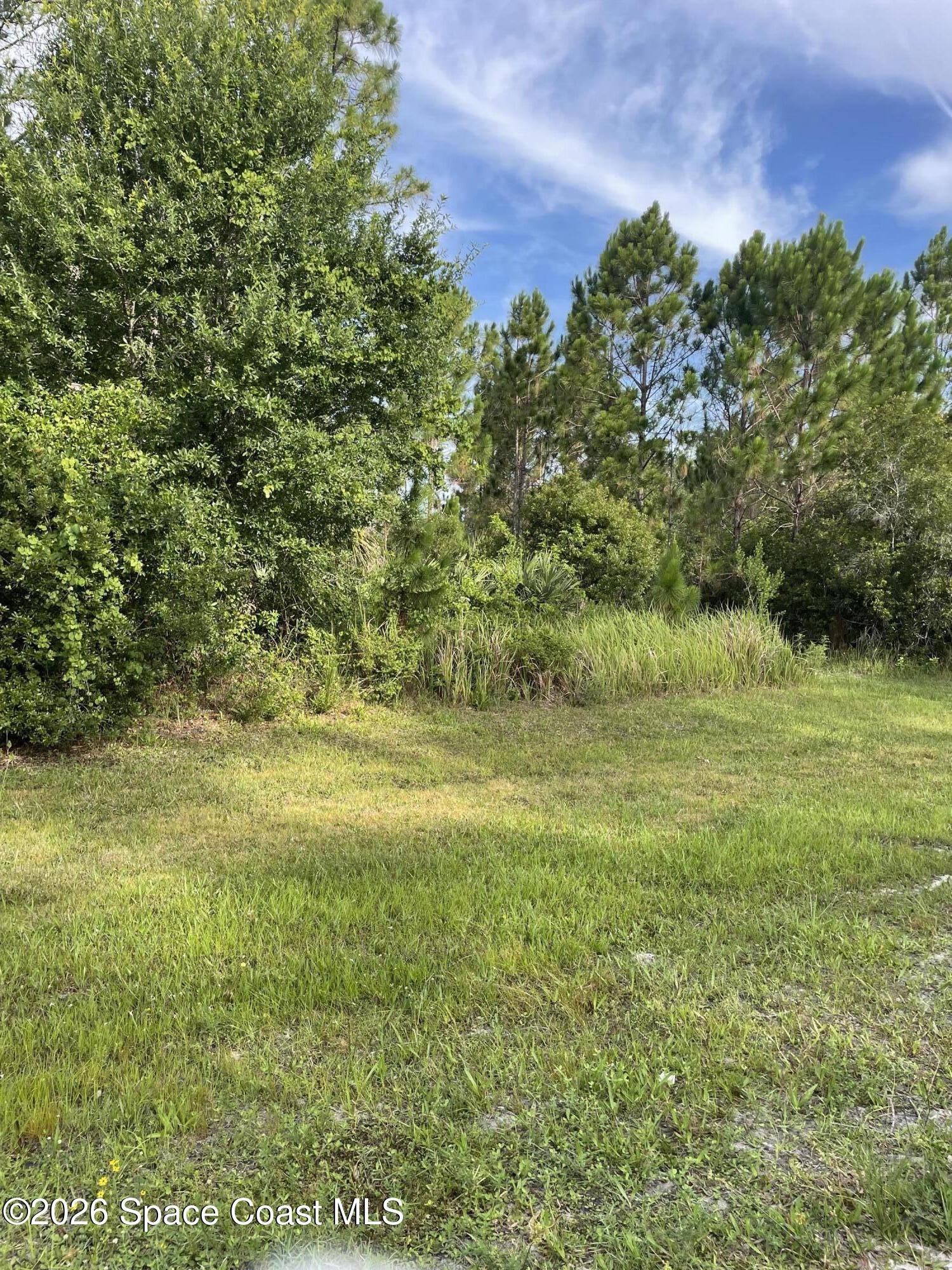 0 Unknown Boulevard Palm Bay, FL 32905 - Photo 4 of 8 a view of a field with an trees