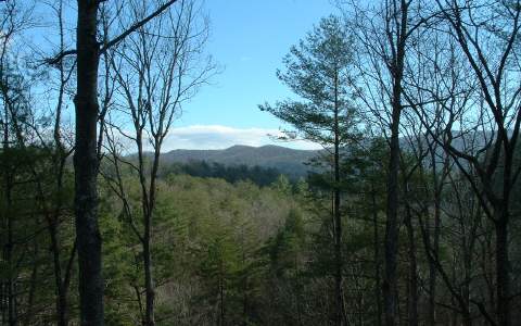 232 Granny Branch Drive Blue Ridge, GA 30513 - Photo 1 of 1 a view of mountain view with lots of trees
