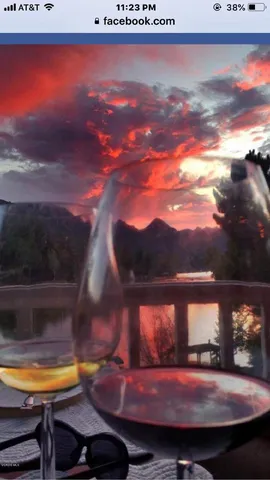 a backyard of a building with large trees