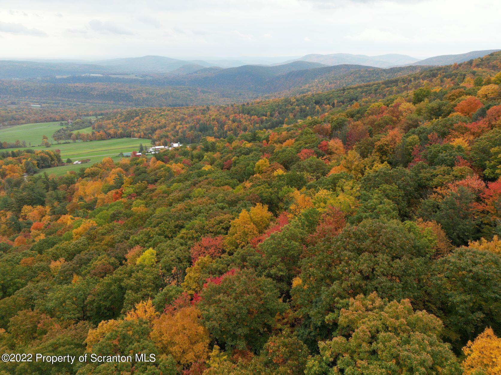 Fire Tower Road Mehoopany, PA 18629 - Photo 13 of 13 an aerial view of residential houses with outdoor space and trees