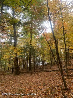 Fire Tower Road Mehoopany, PA 18629 - Photo 5 of 13 a view of road and trees