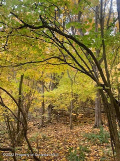 Fire Tower Road Mehoopany, PA 18629 - Photo 7 of 13 a backyard of a building