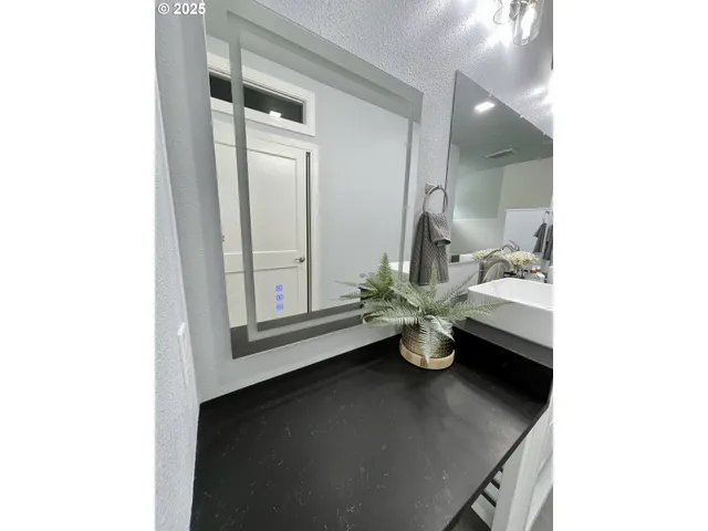 a room with a sink and a potted plant on table
